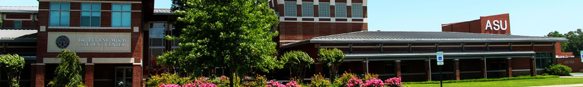 bingo plus rewards login