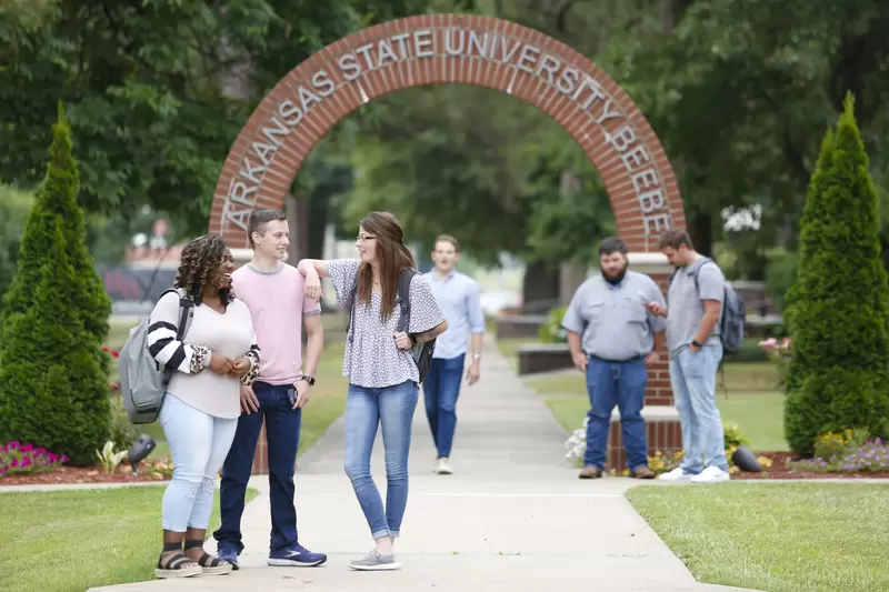 bingo plus net rewards login