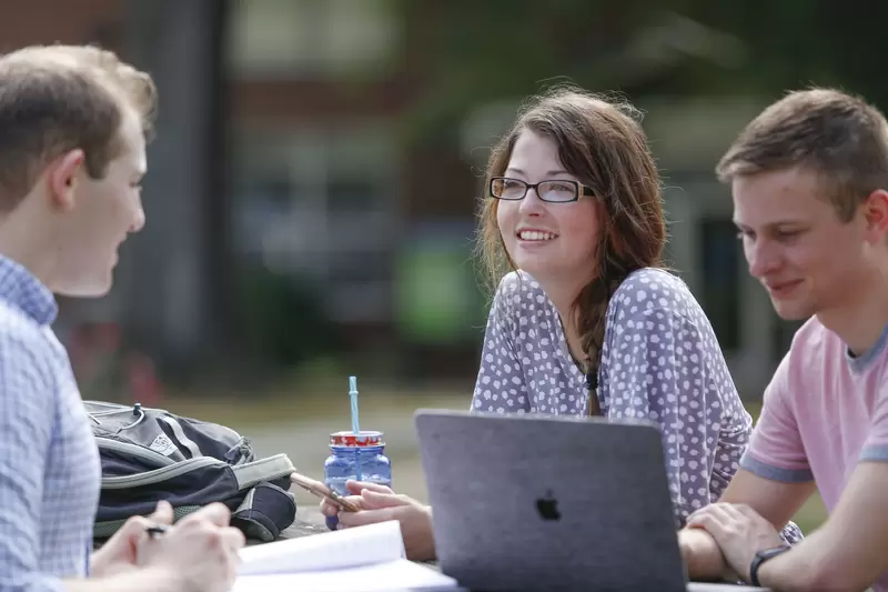 bingo plus rewards login