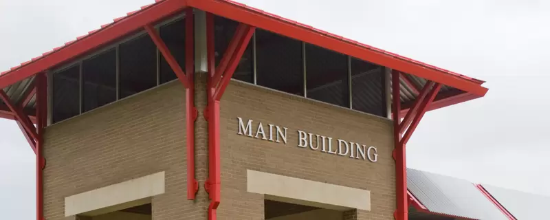 bingo plus rewards login