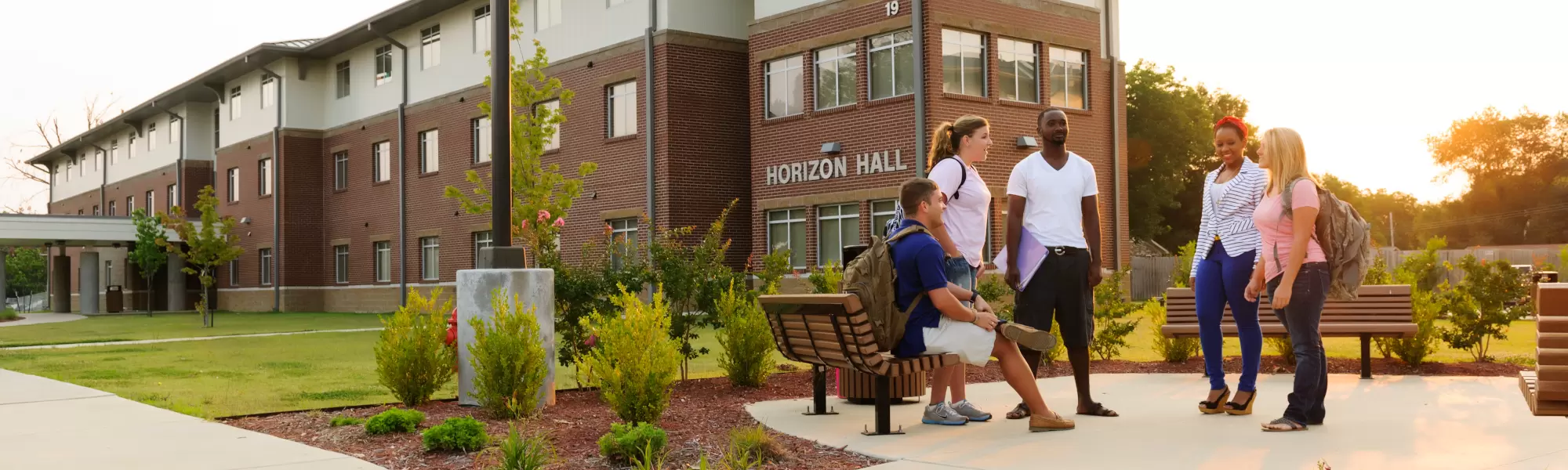 bingo plus rewards login