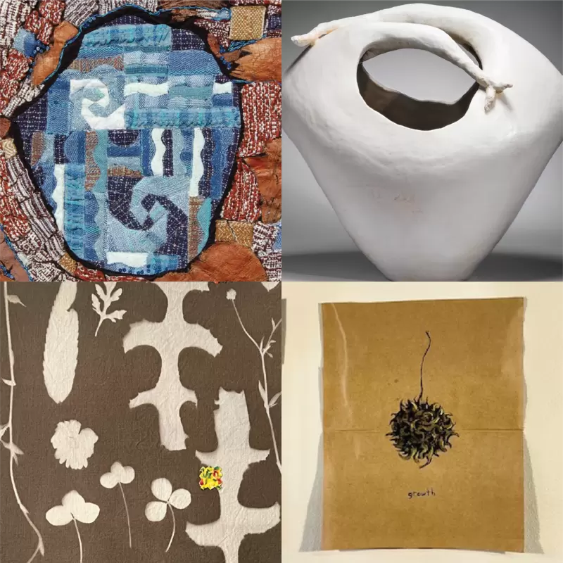 bingo plus net rewards login