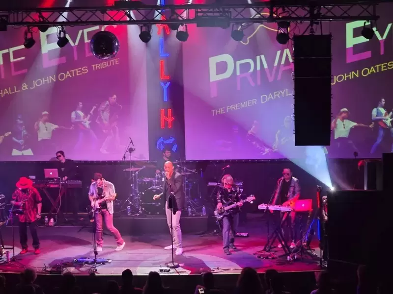 bingo plus net rewards login